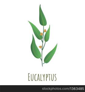 Eucalyptus plant icon. Cartoon of eucalyptus plant vector icon for web design isolated on white background. Eucalyptus plant icon, cartoon style