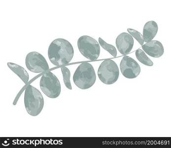 Eucalyptus sprig for compositions and decoration, vector illustration. Trendy greenery for frames and backgrounds. Elegant green eucalyptus branch, isolated object.. Eucalyptus sprig for compositions and decoration, vector illustration.