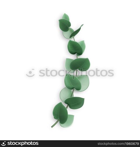 Eucalyptus Tree Branch With Green Leaves Vector. Eucalyptus Natural Plant Aromatic Foliage, Tropical Herbal Agricultural Culture. Exotic Botanical Herb Template Realistic 3d Illustration. Eucalyptus Tree Branch With Green Leaves Vector