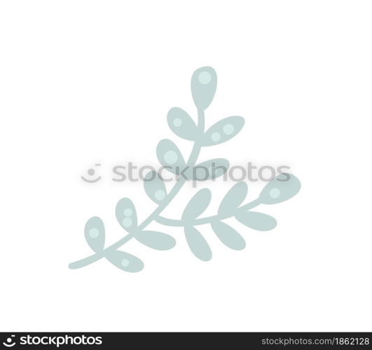 Eucalyptus tree branches natural leaves. Designer art tropical elements hand drawn in scandinavian style. Vector decorative beautiful elegant illustration.. Eucalyptus tree branches natural leaves. Designer art tropical elements hand drawn in scandinavian style. Vector decorative beautiful elegant illustration