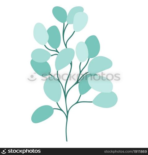 Eucalyptus twig drawn isolated botanical element. Green rounded leaves on a branch, trendy greenery for decoration. Plant for product design, invitations and cards, vector illustration.. Eucalyptus twig drawn isolated botanical element.