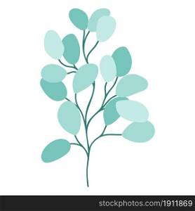Eucalyptus twig drawn isolated botanical element. Green rounded leaves on a branch, trendy greenery for decoration. Plant for product design, invitations and cards, vector illustration.. Eucalyptus twig drawn isolated botanical element.
