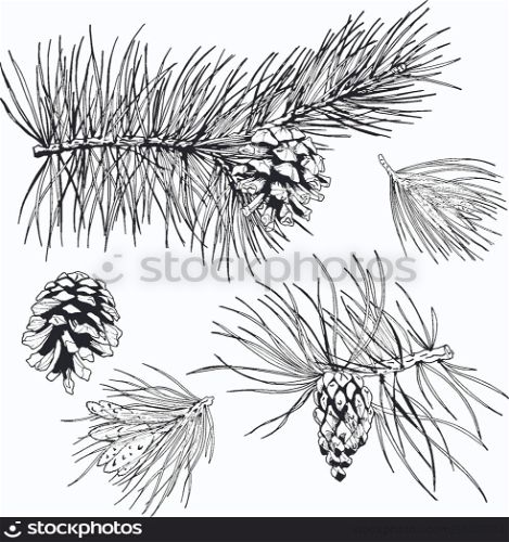 Evergreen pine fir branches christmas tree garland decorative design elements isolated vector illustration