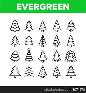 Evergreen Pine Tree Collection Icons Set Vector Thin Line. Evergreen Fir With Needles, Christmas Ornament Concept Linear Pictograms. Nature Forest And Woodland Monochrome Contour Illustrations. Evergreen Pine Tree Collection Icons Set Vector