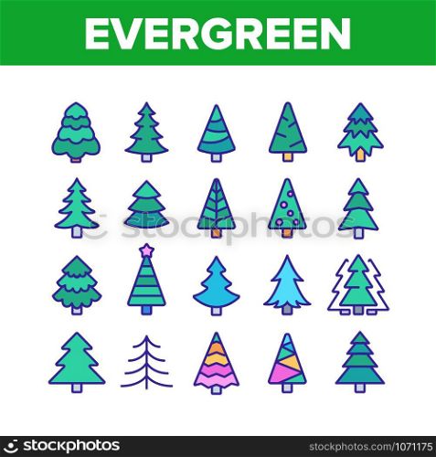 Evergreen Pine Tree Collection Icons Set Vector Thin Line. Evergreen Fir With Needles, Christmas Ornament Concept Linear Pictograms. Nature Forest And Woodland Color Illustrations. Evergreen Pine Tree Collection Icons Set Vector