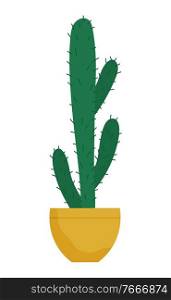 Evergreen plant with prickly thorns in yellow pot. Cactus that grown indoor in potting soil. Object of decor isolated on white cacti. Vector illustration of tropical houseplant in flat style. Big Cactus, Plant in Pot with Thorns, Houseplant