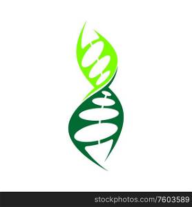 Evolution gene isolated DNA chromosome helix logo. Vector genetic information code, green bio chain. Genetic information code isolated DNA molecule