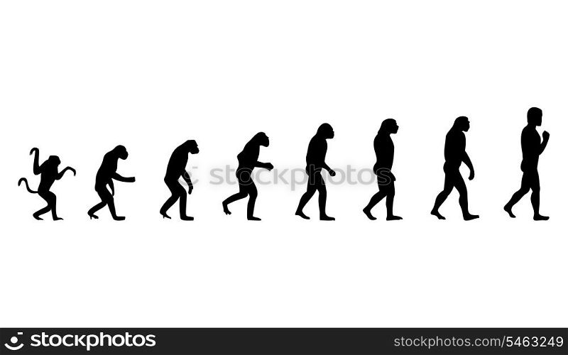 Evolution of the person. Evolution from a monkey to the person. A vector illustration