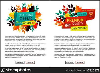 Exclusive offer only one day posters set with text sample. Autumn reduction of prices seasonal proposition. Premium discounts off and quality vector. Exclusive Offer Only One Day Vector Illustration