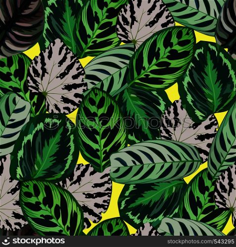 Exclusive trendy foliage set exotic begonia leaves pattern seamless background. Hand drawn vector tropical leaves illustration on a yellow background
