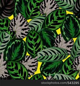Exclusive trendy foliage set exotic begonia leaves pattern seamless background. Hand drawn vector tropical leaves illustration on a yellow background