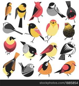 Exotic and local birds isolated animals with colorful plumage, avian creatures. Species with fluffy plumelets, bullfinches or sparrows. Fauna and biodiversity of planet, vector in flat style. Winter and summer birds, sparrows and bullfinches vector