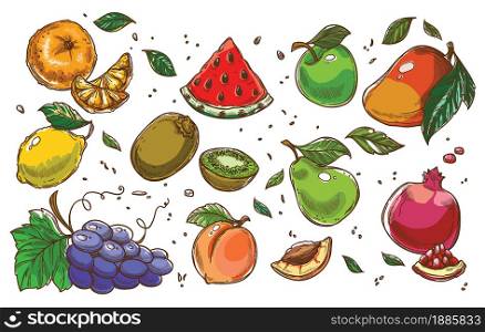 Exotic and tropical ripe fruits, set of watermelon slice, lemon with apple. Pear and plume, mandarins and bunch of grapes with peach and apricot, pomegranate with fresh kiwi. Vector in flat style. Tropical and exotic fruits, dieting and healthy nutrition