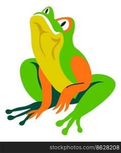 Exotic animals and wildlife, isolated tropical frog wild reptile with colorful skin coloring. Zoo amphibians, cartoon fauna and wilderness or habitat of creatures. Vector in flat style illustration. Tropical frog, exotic wildlife reptile animals