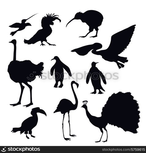 Exotic birds silhouettes decorative icons set with flamingo peacock penguin isolated vector illustration. Exotic Birds Silhouettes