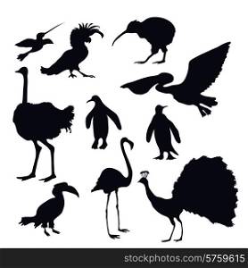 Exotic birds silhouettes decorative icons set with flamingo peacock penguin isolated vector illustration. Exotic Birds Silhouettes