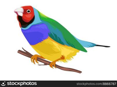 Exotic birds species, isolated parrot sitting on branch or twig. Avian animal with bright plumage and feathers. Zoology and nature, fauna and biodiversity of jungle or woods. Vector in flat style. Bright parrot sitting on branch, exotic birds
