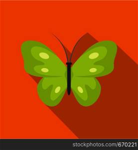 Exotic butterfly icon. Flat illustration of exotic butterfly vector icon for web. Exotic butterfly icon, flat style.
