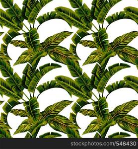 Exotic composition banana leaves seamless pattern on the white background. Fabric vector beach wallpaper