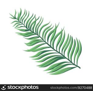 Exotic fern flower, lush greenery and leafage. Isolated houseplant or tropical botany decoration. Flora bushes or branches with green leafage. Rainforest or forest decor. Vector in flat style. Tropical and exotic foliage and plants, fern decor