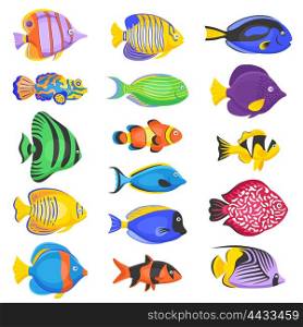 Exotic Fish Set. Exotic tropical fish set in different shapes and colors flat isolated vector illustration