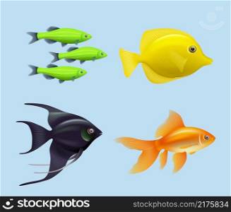 Exotic fishes. Realistic underwater life aquarium drawing colored fishes decent vector illustration collection isolated. Sea wild fish, tropical swimming animals. Exotic fishes. Realistic underwater life aquarium drawing colored fishes decent vector illustration collection isolated