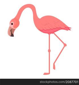 Exotic flamingo icon cartoon vector. Cute pink bird. Summer flamingo. Exotic flamingo icon cartoon vector. Cute pink bird