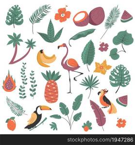 Exotic flora and fauna, birds and plants of tropics. Isolated palm tree, bushes and flowers. Flamingo and monstera, passion fruit and banana, watermelon slice. Vector in flat style illustration. Tropical plants and birds, exotic flora and fauna