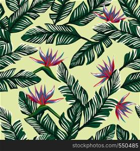 Exotic flowers bird of paradise (strelizia) abstract color and green tropical banana leaves on the beach sand background pattern. Realistic vector seamless botanical composition