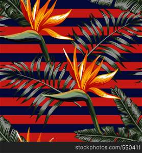 Exotic flowers bird of paradise with tropical leaves seamless vector pattern stripe coral blue background