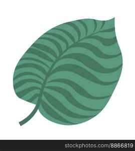 exotic foliage and leafage, isolated tropical leaf of monstera plant. Vegetation and botany of rainforest. Decoration for banner or greeting card. Nature and freshness summer. Vector in flat style. Tropical leaf of monstera plant, exotic foliage