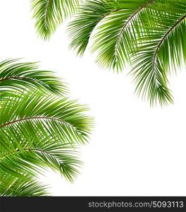 Exotic Frame with Palm Leaves. Place for Your Text. Illustration Exotic Frame with Palm Leaves. Place for Your Text - Vector