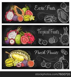 Exotic fruit and berry blackboard banners of tropical farm and garden food. Vector papaya, lychee, fig and carambola, durian, guava, mangosteen, passion and dragon fruits on chalkboard. Exotic fruit and tropical berry blackboard banners