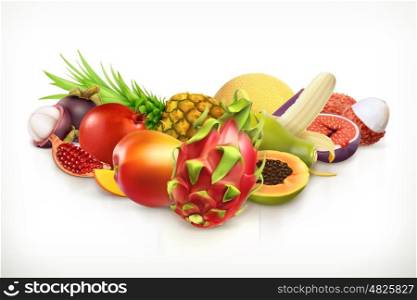 Exotic fruits. Juicy fruit and berries vector illustration isolated on white