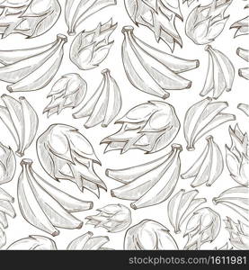 Exotic fruits ripe product and plant with leaves. Growing botany with leaves. Banana bunches, diet and nutrition, dessert organic ingredients. Monochrome sketch outline, vector in flat style. Banana tropical fruits, exotic dieting colorless seamless pattern