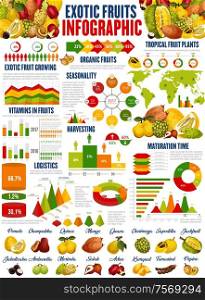 Exotic fruits vector infographics. Growing, harvesting and vitamins consumption. Fruit nutrition facts, graphs and charts, diagrams. Pomelo, jackfruit and chambakka, quince and mango, guava, kumquat. Exotic fruits growing, harvest infographics