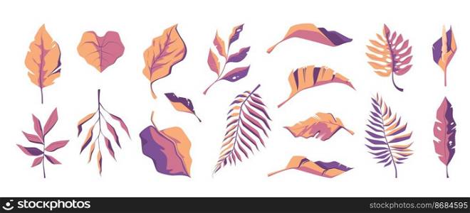 Exotic leaf collection. Tropical abstract leaves botanical flower design, cartoon floral decorative elements summer jungle leaves. Vector colorful set of leaf illustration. Exotic leaf collection. Tropical abstract leaves botanical flower design, cartoon floral decorative elements summer jungle leaves. Vector colorful set