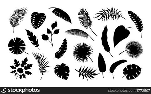 Exotic leaf silhouette. Tropical monstera and banana tree branches. Black and white coconut palm fronds. Summer foliage mockup. Isolated contour jungle plants. Vector decorative natural elements set. Exotic leaf silhouette. Tropical monstera and banana tree branches. Black and white coconut palm fronds. Summer foliage. Isolated jungle plants. Vector decorative natural elements set