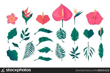 Exotic leaves and flowers. Cartoon tropical decorative floral elements, botanical floristic bouquet blossom palm leaf. Vector colorful isolated collection of decorative tropical floral. Exotic leaves and flowers. Cartoon tropical decorative floral elements, botanical floristic bouquet blossom palm leaf. Vector colorful isolated collection