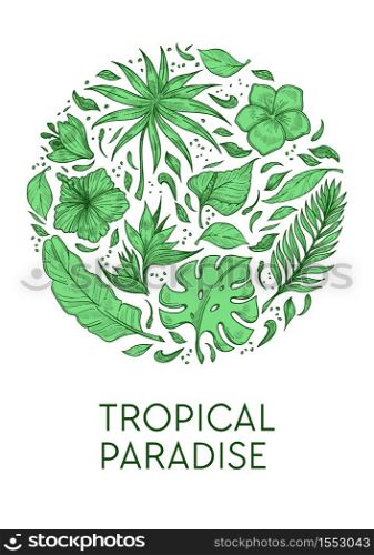 Exotic palm leaves and hibiscus flower tropical paradise poster template vector plants or greenery calla and plumeria buds foliage wild vegetation botany and rainforests or jungle flora blossom. Tropical paradise poster template exotic palm leaves and hibiscus flower