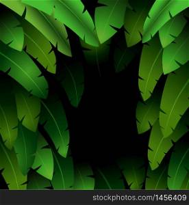 Exotic pattern with tropical leaves banana on a black background.vector
