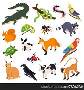 Exotic pets animals birds reptiles isometric set with snake crocodile raccoon monkey parrot fox spider vector illustration
