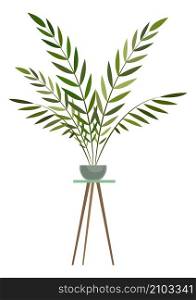 Exotic plant on pot stand. Urban jungle houseplant isolated on white background. Exotic plant on pot stand. Urban jungle houseplant