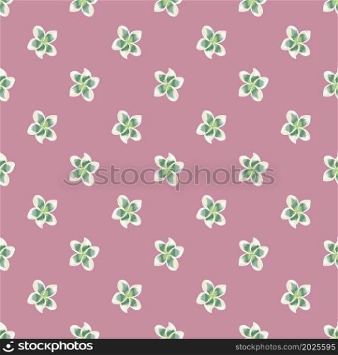 Exotic plumeria flower seamless pattern. Tropical wallpaper. Abstract botanical backdrop. Design for fabric , textile print, wrapping, cover. Vector illustration.. Exotic plumeria flower seamless pattern. Tropical wallpaper.