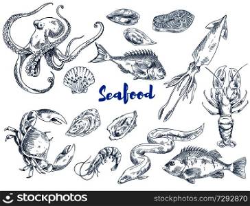 Exotic seafood such as huge octopus, ocean crab, long eel, king shrimp, ink squid, fresh lobster, tasty salmon and mollusks vector illustrations.. Exotic Seafood Monochrome Sketch Illustrations Set