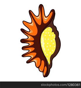 Exotic shell icon. Cartoon illustration of exotic shell vector icon for web. Exotic shell icon, cartoon style