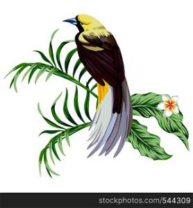 Exotic single tropical bird with plant flower print wallpaper white background