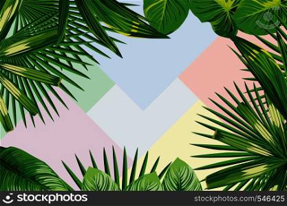 Exotic spring frame of tropical leaves on the geometrical pastel color background