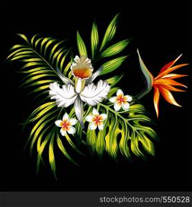 Exotic trendy composition from tropical flowers lily, plumeria, bird of paradise and palm leaves, monstera on the black background