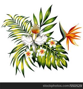 Exotic trendy composition from tropical flowers lily, plumeria, bird of paradise and palm leaves, monstera on the white background